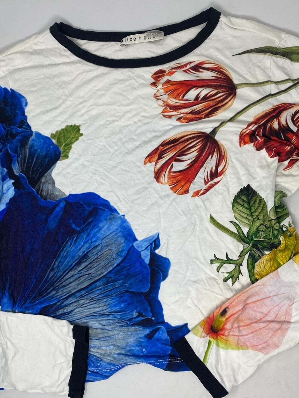 Alice + Olivia Delaina Le Parisien Top Large - Picture 8 of 13